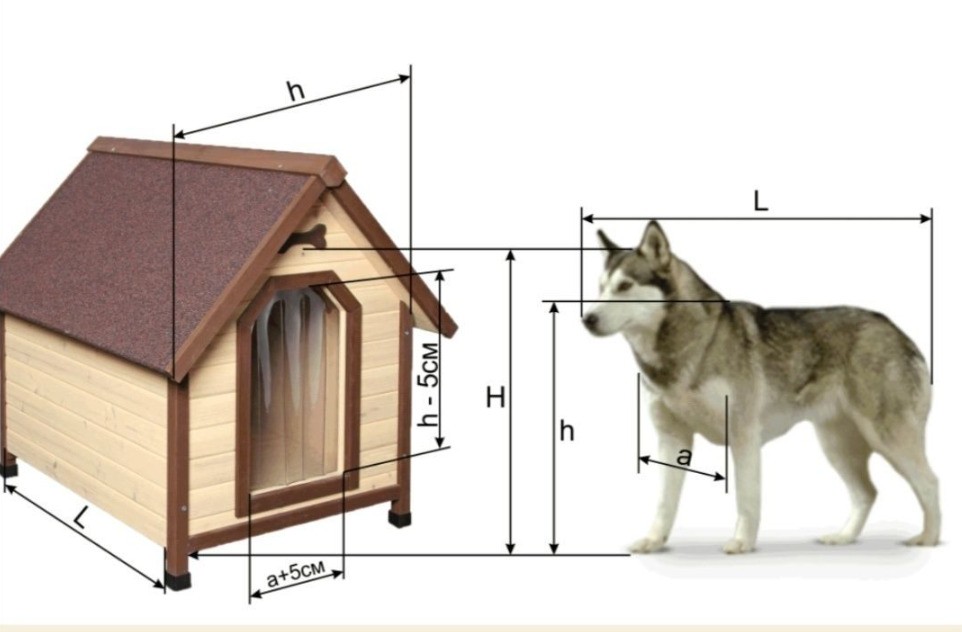 Как рассчитать вместимость вольера исходя из размера собаки?